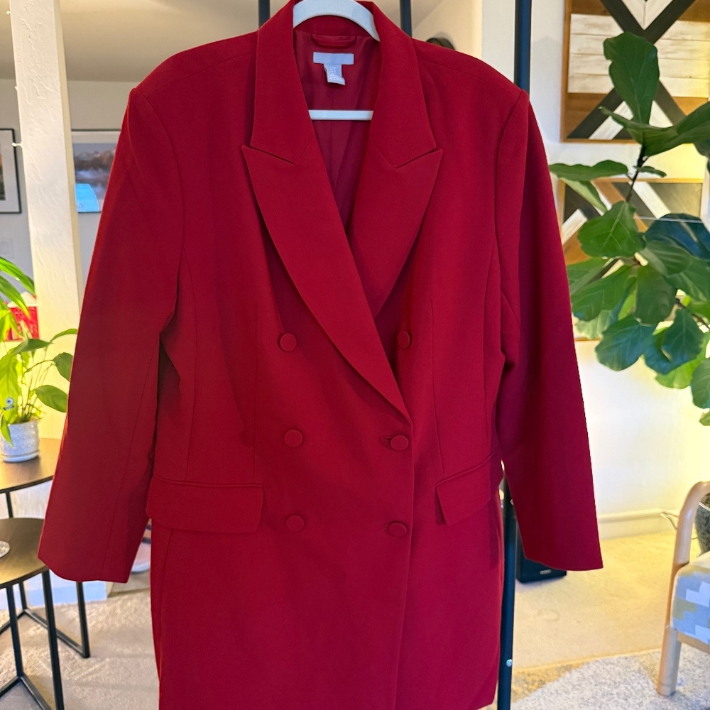 H&M Double Breasted Blazer/Blazer Dress